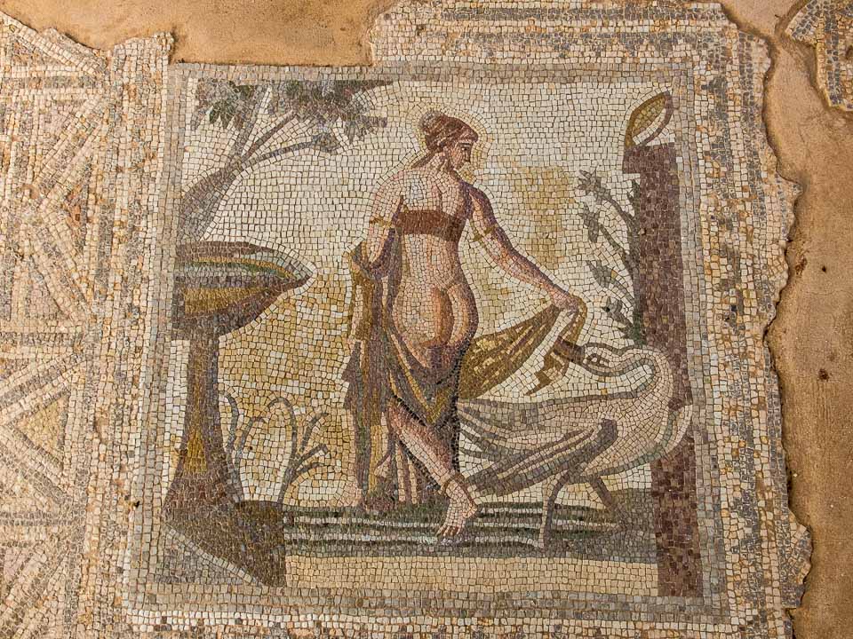 repro mosaic leda aphrodite temple paphos cyprus